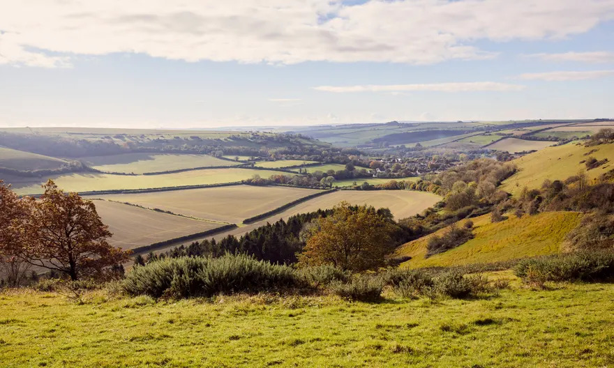 The Dorset countryside where Cerne Abbey lies is characterized by yellow hills rolling out as far as the eye can see. Hedgerows separate pastures of tilled earth. Clouds dot a bright blue sky overlooking the pastoral landscape.